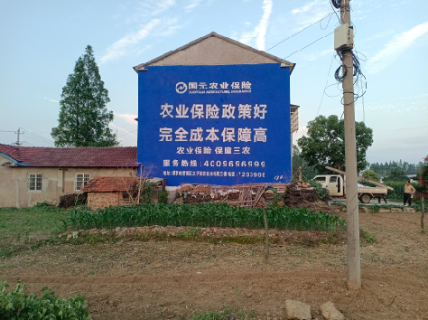 邵阳墙体广告的优劣势你知道吗？